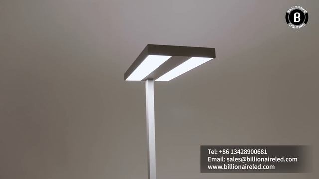 BR-FS0005 Knob Dimming Polarized Design Office LED Floor Standing Lamps смотреть онлайн