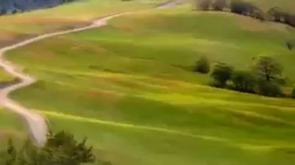 Музыка одинокий пастух