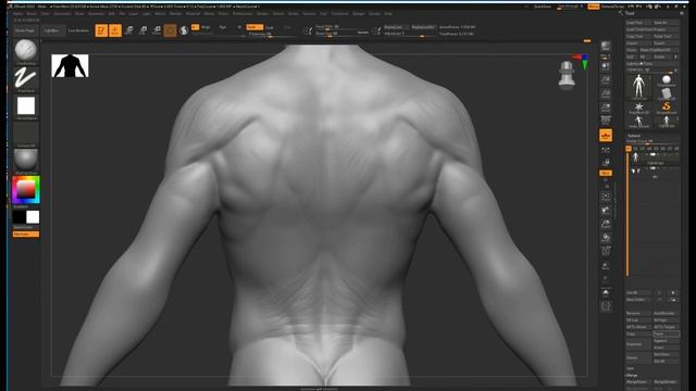 상체 강의입니다. body sculpting in zbrush 01 смотреть онлайн