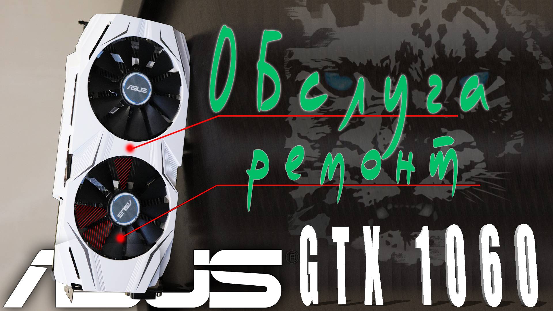 Asus 1060 3 Gb ремонт кулера и обслуга