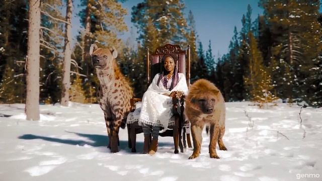 Приснится же такое! смотреть онлайн