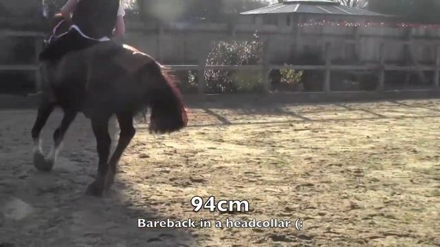 Chase me Charlie Bareback (Including FALL!) смотреть онлайн