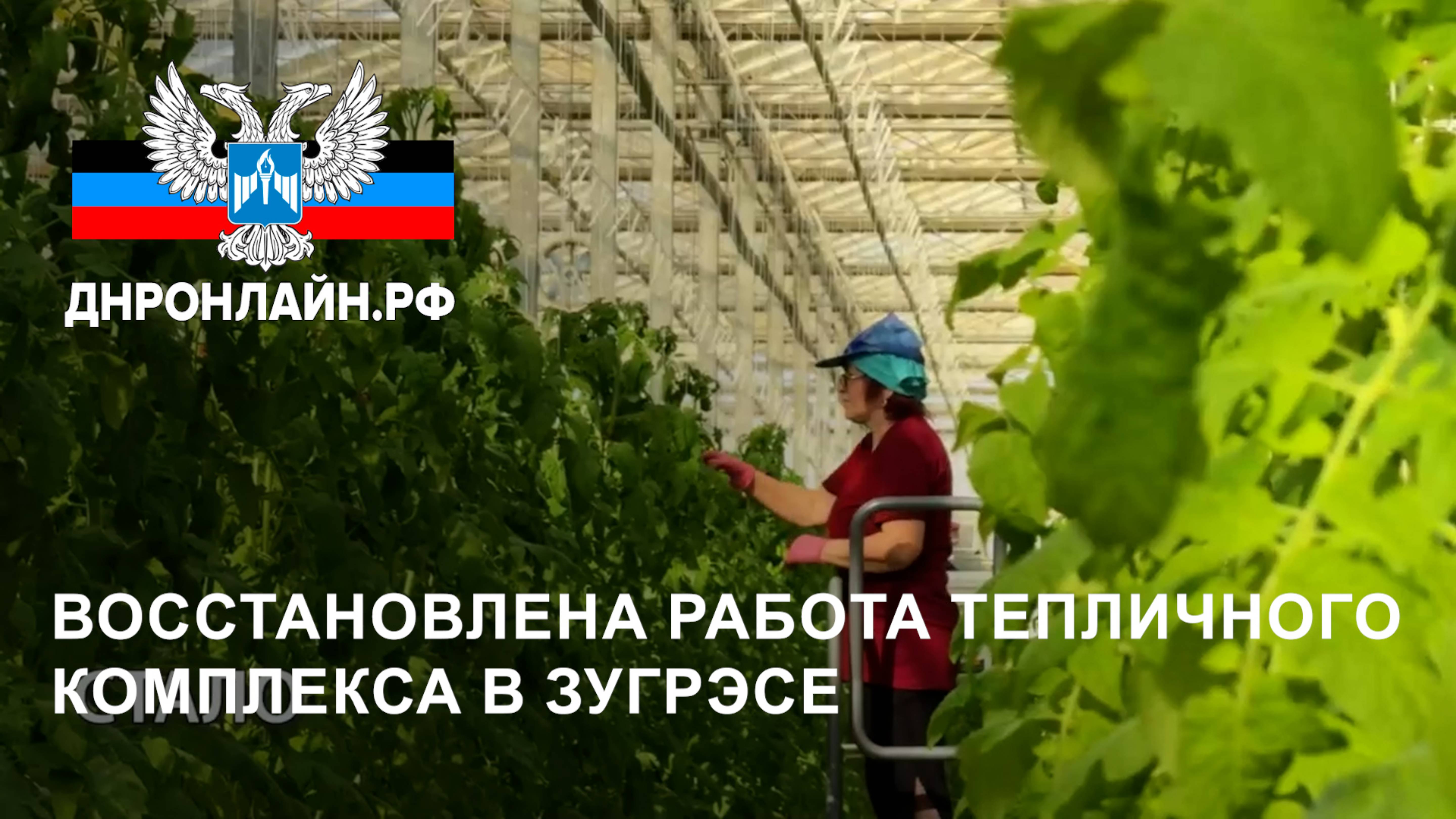 Восстановлена работа тепличного комплекса в Зугрэсе смотреть онлайн