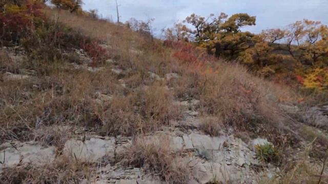 скала смотреть онлайн