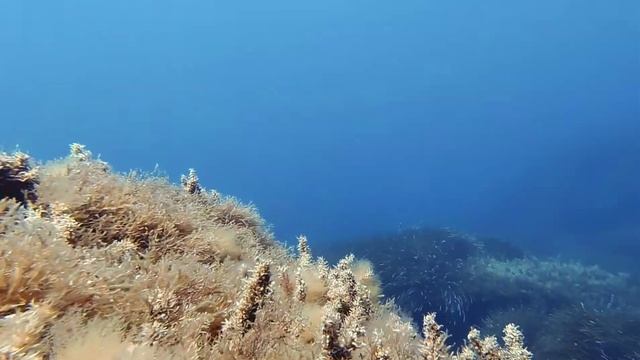 Ghar Lapsi Dive 1 смотреть онлайн
