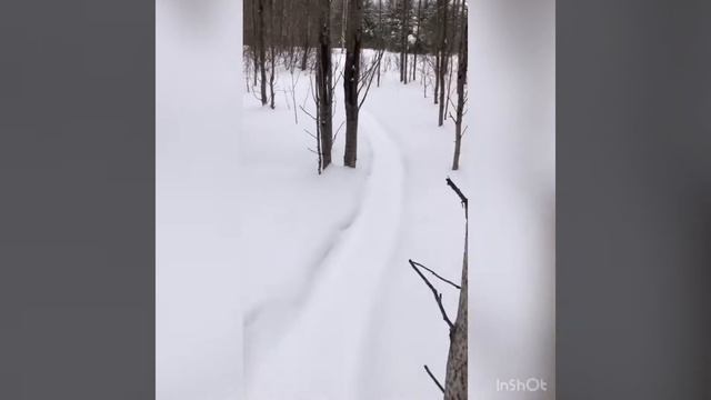 Засолили солонец, нашли непонятные следы… смотреть онлайн