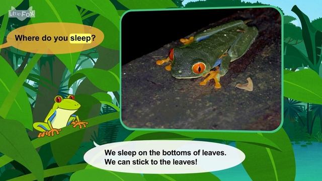 32. Meet the Animlals Frog Amphibians Stories for Kindergarten смотреть онлайн