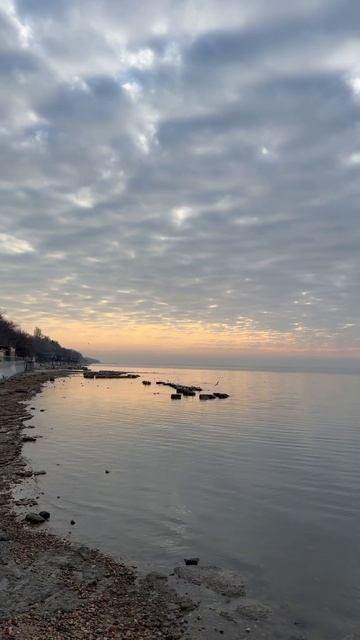 Таганрог, Приморский пляж в 8 утра #отдых #путешествия #релакс #море #таганрог #утродоброе #данхел смотреть онлайн