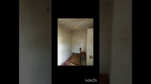11804650 смотреть онлайн