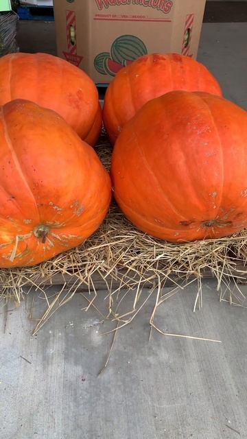 Гиганты тыквы. WINSLETT S PRODUCE MARKET. смотреть онлайн