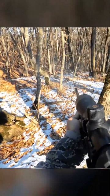 ВЫСЛЕДИЛ ГУРТ КАБАНОВ | Охота на кабана