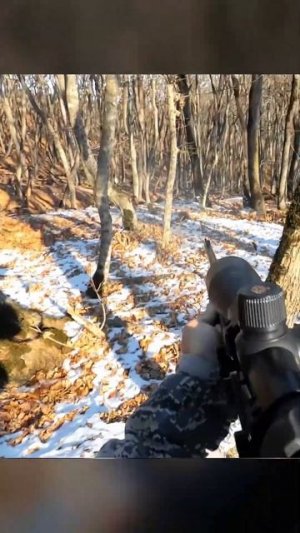 ВЫСЛЕДИЛ ГУРТ КАБАНОВ | Охота на кабана