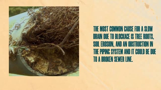 4 Signs That Tells You If Your Sewer Line Is Broken | CALL A PLUMBER смотреть онлайн