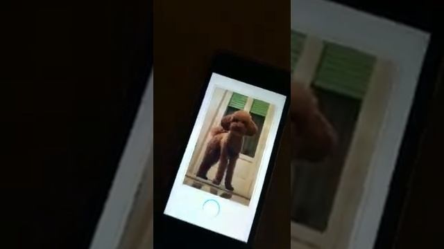 Zoemini : la mia prima volta! смотреть онлайн
