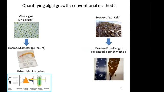 Water 2018 | Lecture 11: Wastewater bioremediation with filamentous algae (Semiano/Edinburgh) смотреть онлайн