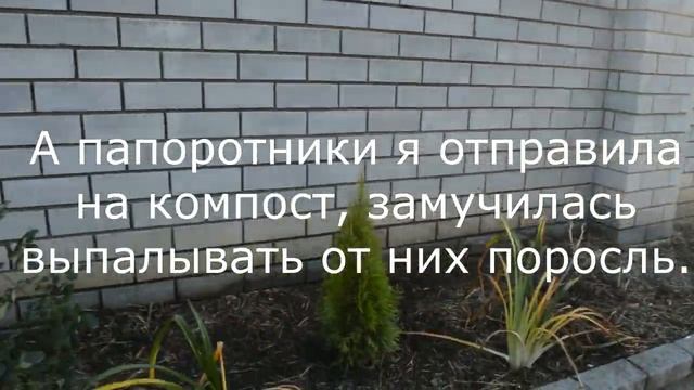 Цветочно-огородные новости от 15.10.2020.