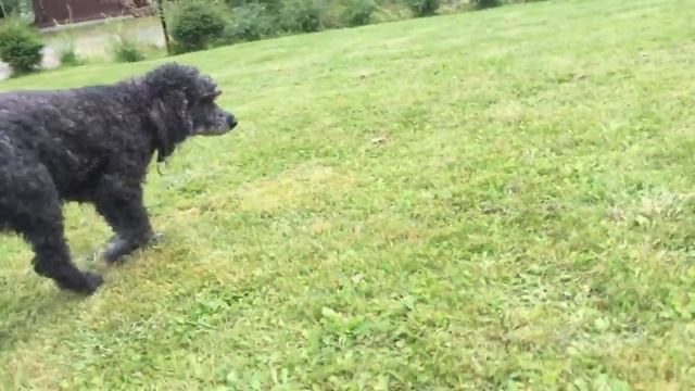 Финляндия 3 СЕРИЯ Боооох, ты что оглох? смотреть онлайн