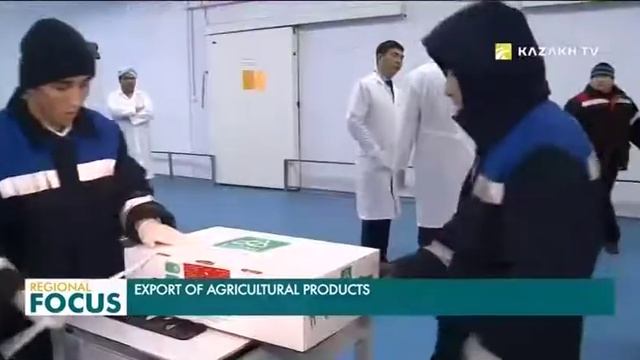 Казахстан наращивает экспорт сельхозпродукции смотреть онлайн