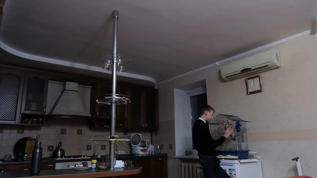 VLOG У Вики радость.