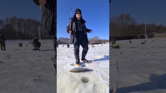 Поимки на малька и на актив смотреть онлайн