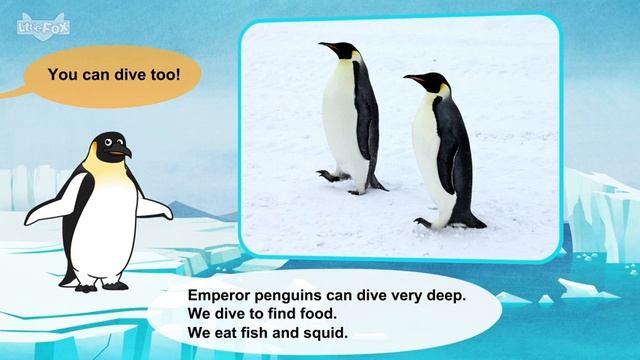 33. Meet the Animals Emperor Penguin Birds Stories for Kindergarten смотреть онлайн