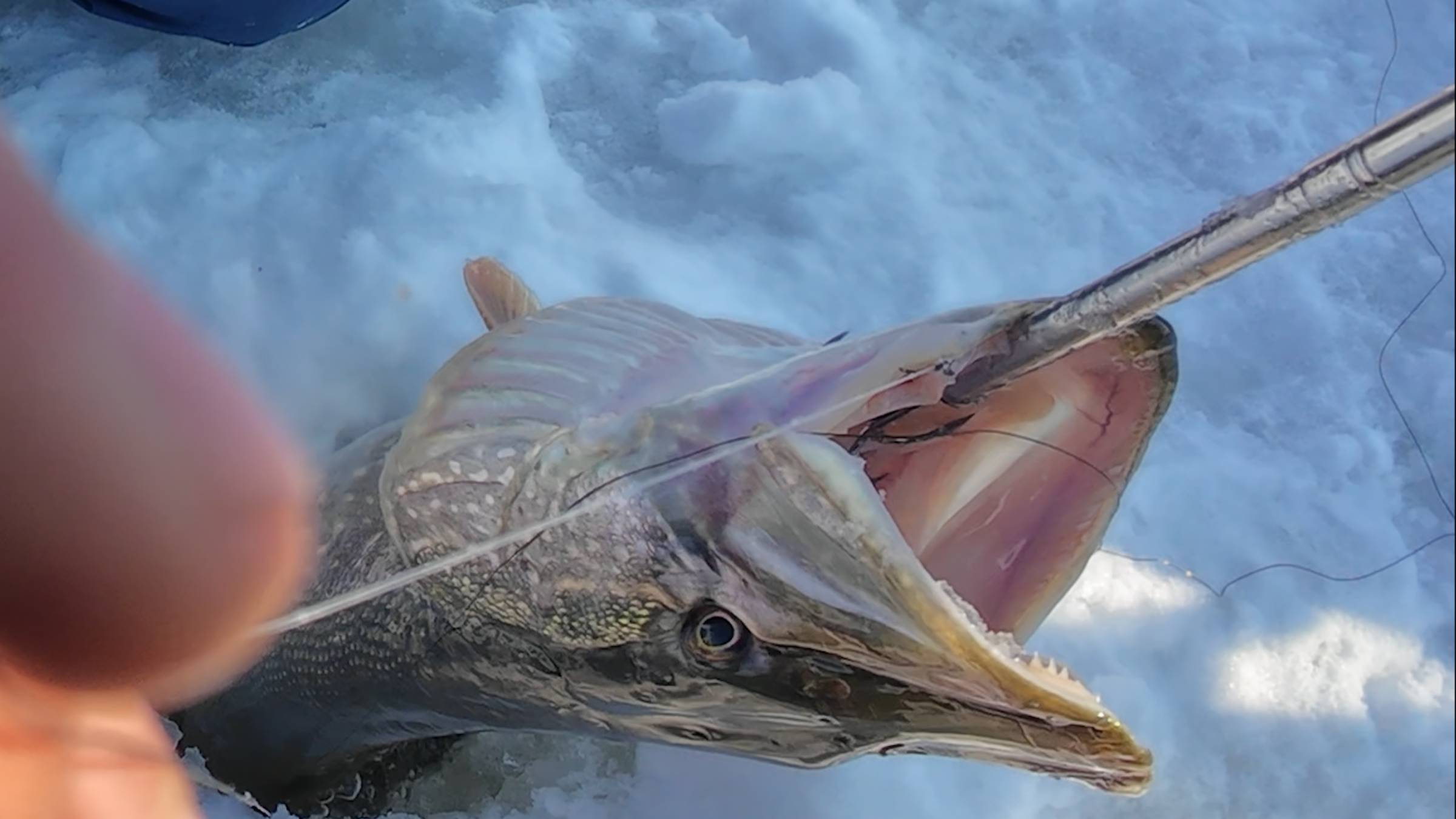 Река метрушка подарила нам трофея смотреть онлайн