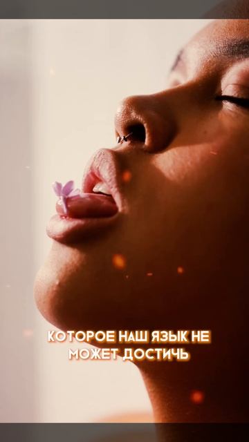 ПОЧЕМУ НЕЛЬЗЯ ЛИЗНУТЬ ЛОКОТЬ #shorts #shortsvideo смотреть онлайн