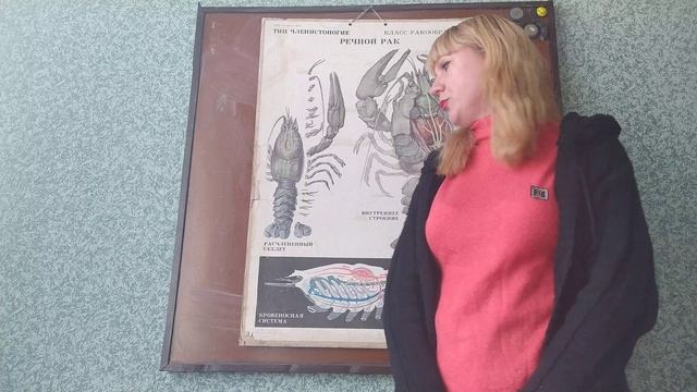 ракоподібні