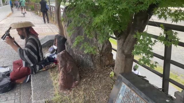 ЯПОНИЯ влог, Киото | Влог-Киото: наш медовый месяц (часть 2)