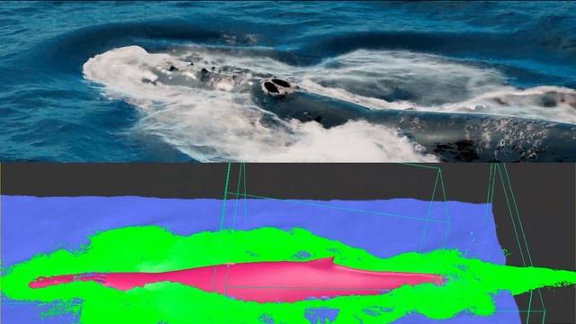 3D animation of Humpback Whale Surfacing - ocean simulation смотреть онлайн