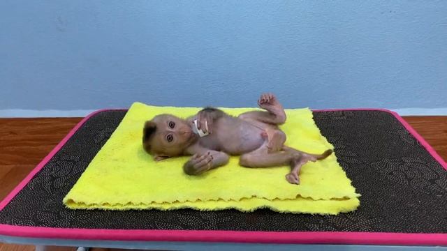 Tourtour Turn Back Sc-ree Mo0nster смотреть онлайн