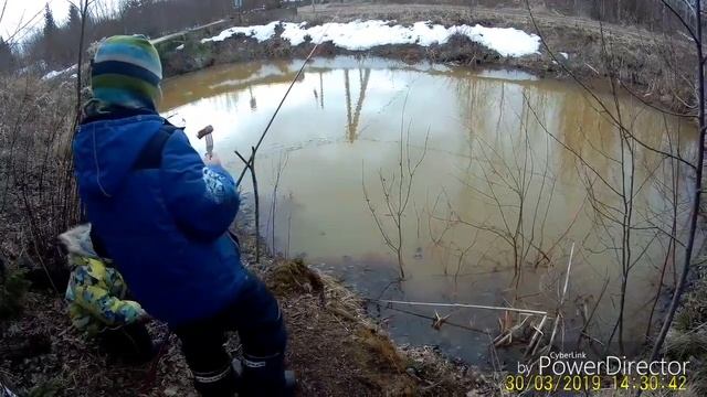 На даче (караси ещё спят)