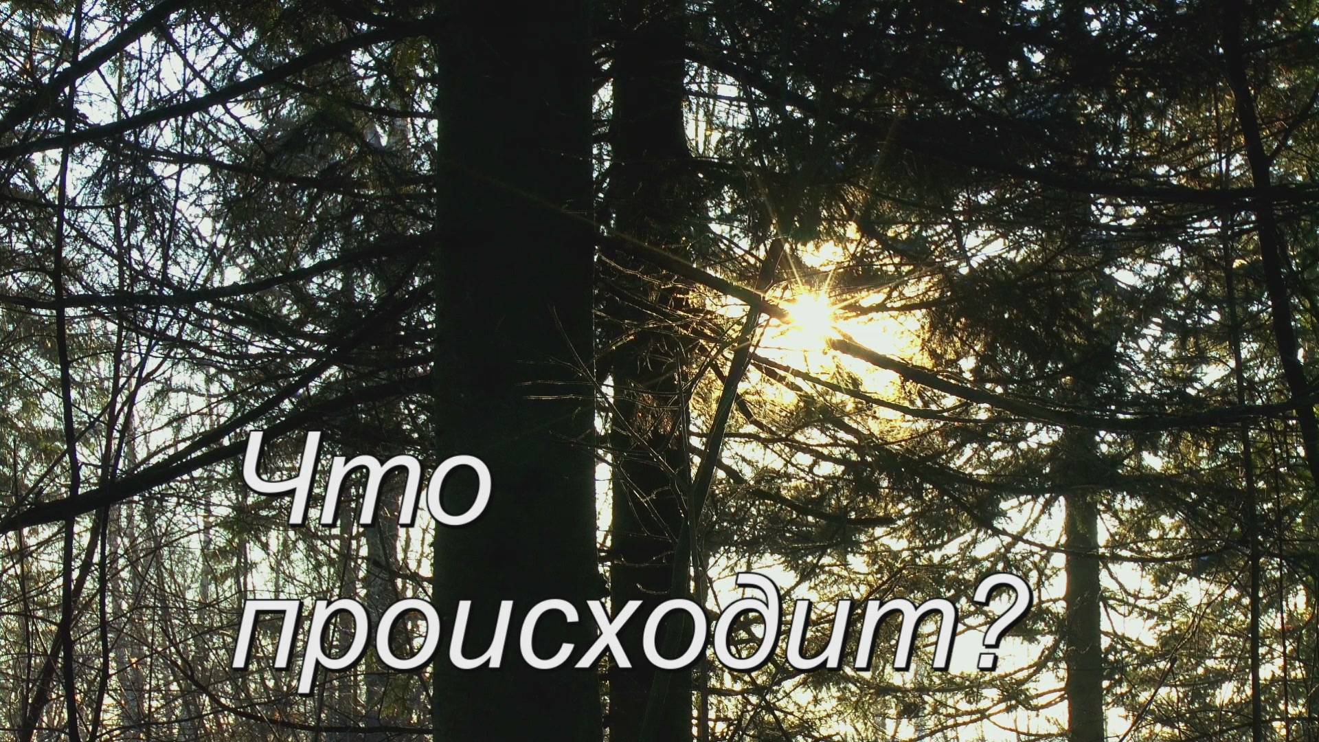Что происходит смотреть онлайн