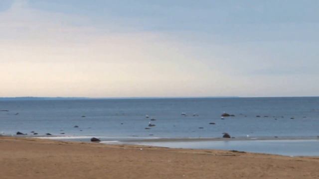 Пляж в Комарово перед грозой