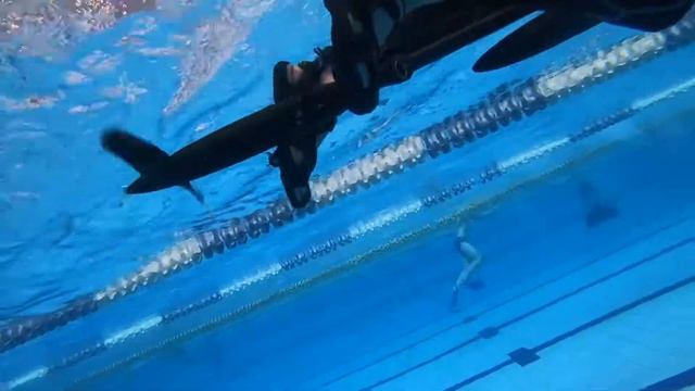 Speed Swimming смотреть онлайн
