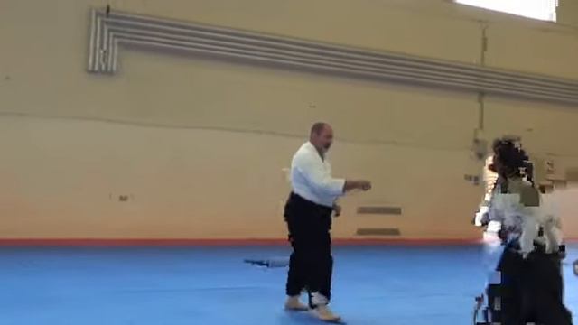 Айкикай Великобритании. Практика с гостем (инструктором) Юкимицу Кобаяси (2011) - ч 2