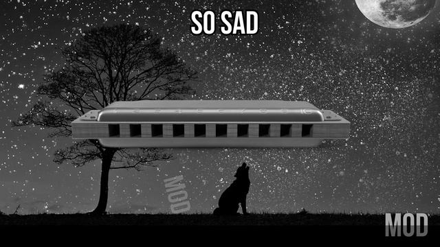 15 Harmonica Sound Variations in 40 Seconds | MODIFY EVERYTHING смотреть онлайн