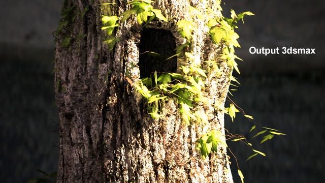 Tree Scene IVY 3DSMAX VRAY PHOTOSHOP смотреть онлайн