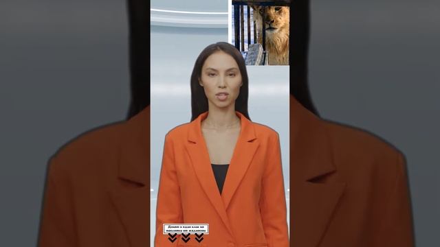 В Саратове укушенная львом девочка спасла ему жизнь #shorts смотреть онлайн
