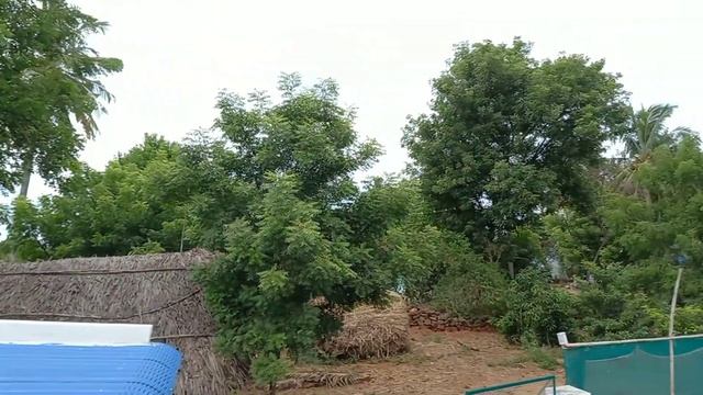 DC solar home at tamil 9787829328 Bhavani смотреть онлайн