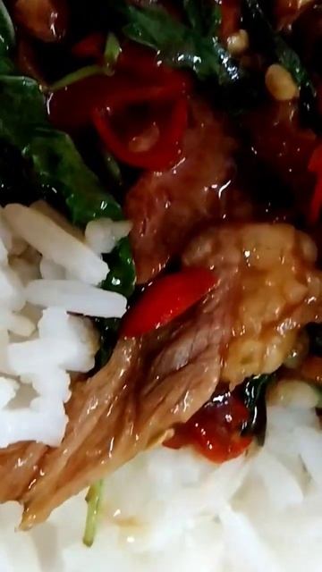 Krapao Nuea With Kai Dao( Rice Beef With Egg) #thailandtravel #thaifoodstyle #thaifood смотреть онлайн