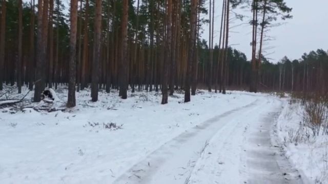 Эстония. Продолжение. Как прошла эта неделя? смотреть онлайн
