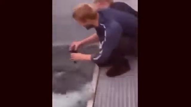 Top 50 Smartest Animals In The World|| Most Genius Animals?|interesting Animals Videos2022