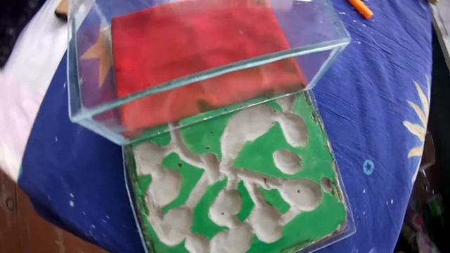 Мой первый формикарий своими руками. смотреть онлайн