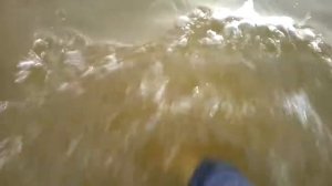 купаюсь в одежде