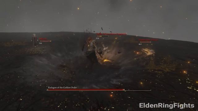 Alliance of 8 Girls & Women Vs Bosses - Elden Ring смотреть онлайн