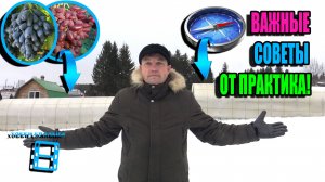 ОСОБЕННОСТИ КОНСТРУКЦИИ ВИНОГРАДНОЙ ТЕПЛИЦЫ, КАК ЛУЧШЕ РАСПОЛОЖИТЬ? СЕВЕРНЫЙ ВИНОГРАДНИК 24-36