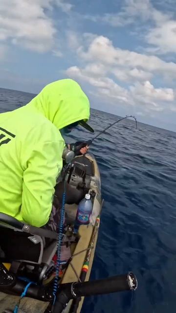 Yellowfin Tuna Almost Steals My Rod!