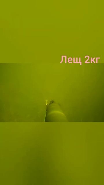 р.Воронеж!!Трофейный лещ!П.О! смотреть онлайн