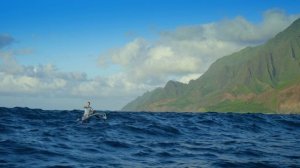 Тропические острова 3 серия «Гавайи» (документальный сериал, 2020)